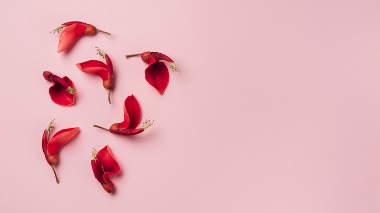 Foto gratuito concepto moderno de flores con estilo elegante
