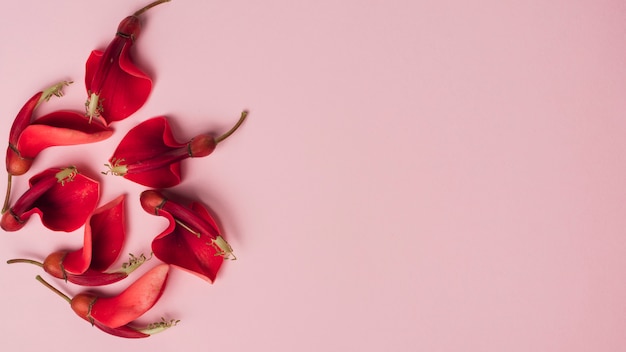 Foto gratuita concepto moderno de flores con estilo elegante