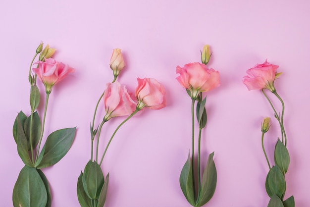 Foto gratuita concepto moderno de flores con estilo elegante