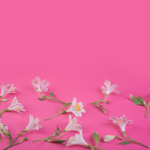 Foto gratuita concepto moderno de flores con estilo elegante