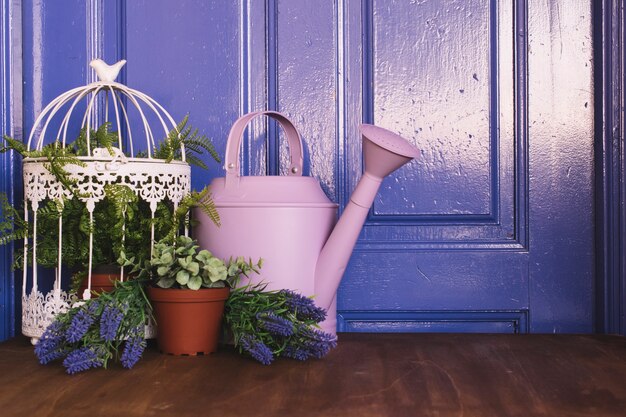 Concepto morado de jardinería con regadera