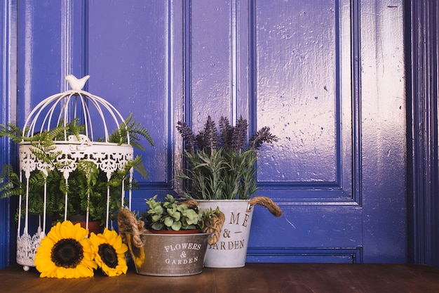 Concepto morado de jardinería