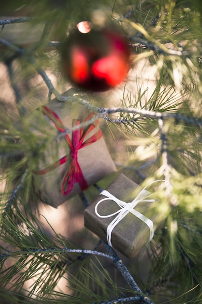 Foto gratuita concepto de naturaleza y navidad