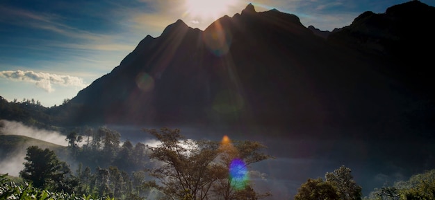 Concepto de la naturaleza del parque de la ecología ambiental de la pradera de la montaña