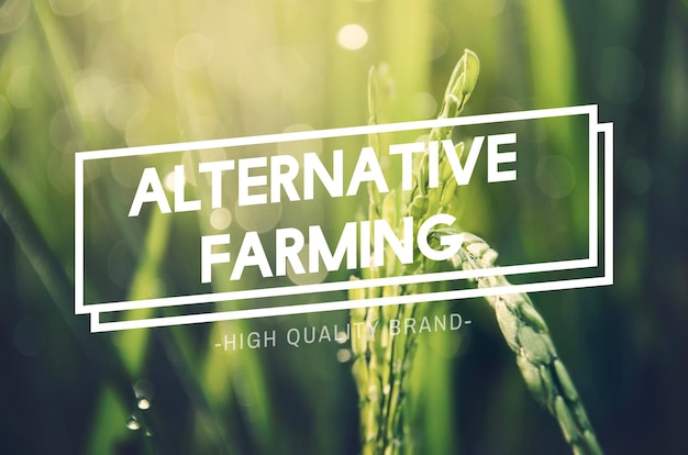 Foto gratuita concepto de naturaleza sostenible de agricultura alternativa