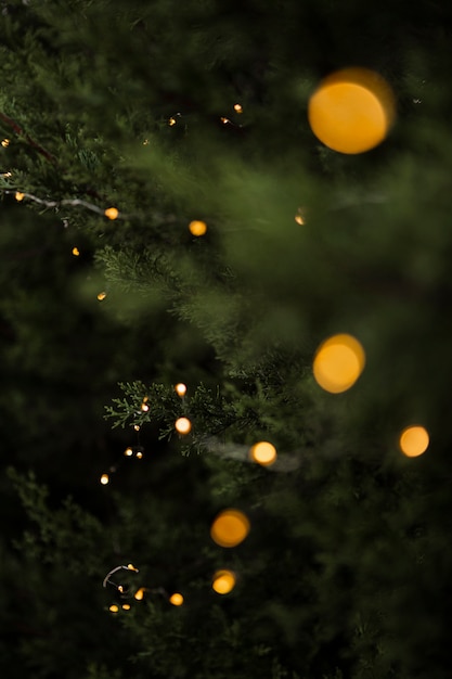 Concepto de Navidad con hermoso árbol y luces.