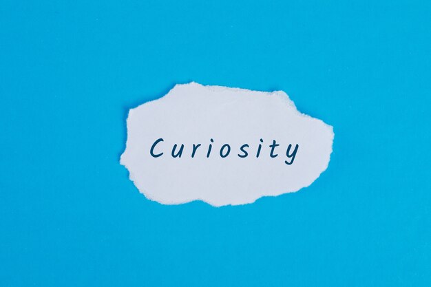 Concepto de negocio con la palabra curiosidad en papel rasgado en la mesa azul plana endecha.