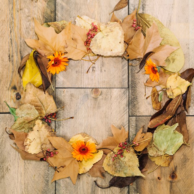 Concepto de otoño con círculo de hojas