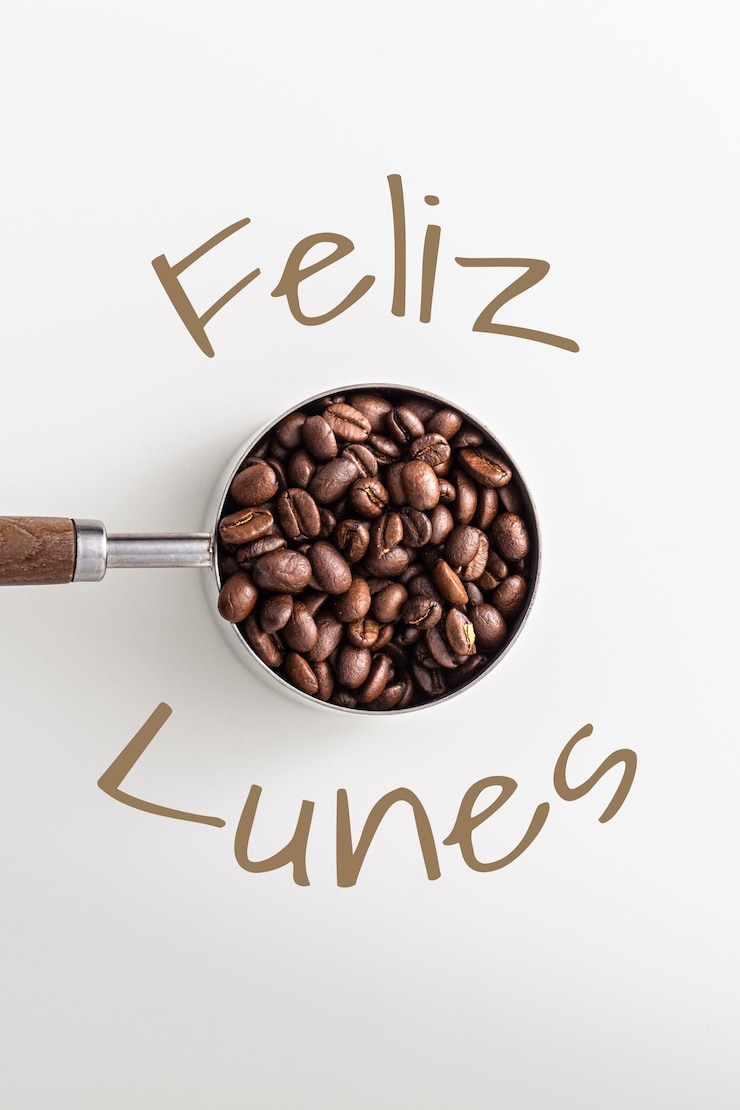 Foto gratuito concepto positivo para el lunes con deseo en español.