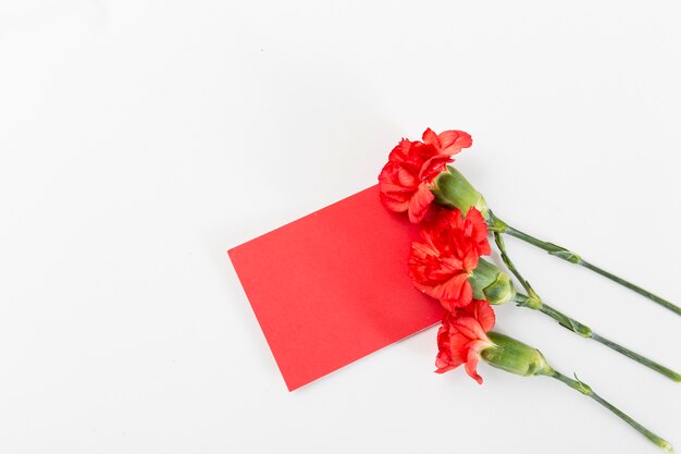 Concepto de primavera con rosas en tarjeta roja