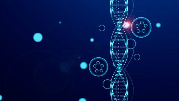 Concepto de representación del ADN