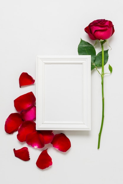 Foto gratuita concepto de rosa roja con marco blanco