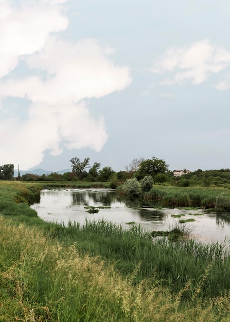 Concepto rural con río