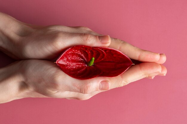 Concepto de sistema reproductivo femenino con flor roja