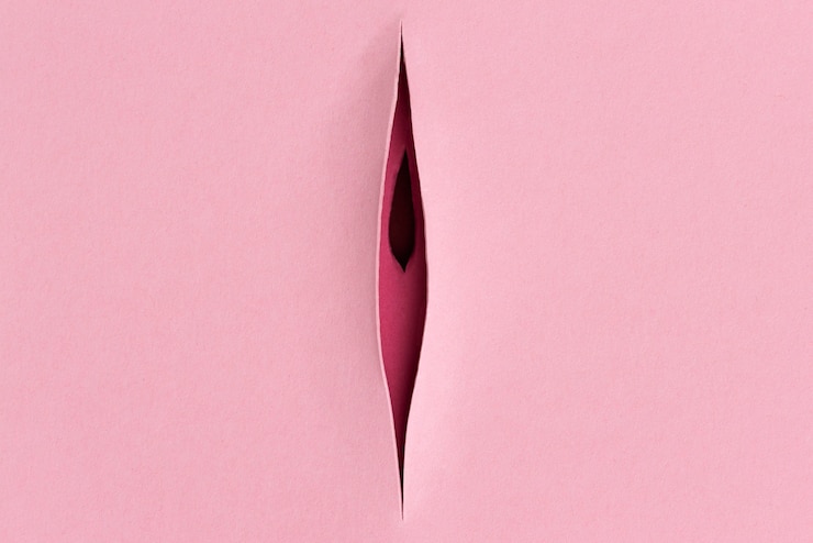 Foto gratuito concepto de sistema reproductivo femenino de vista superior