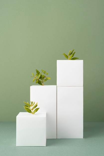 Concepto de sostenibilidad con formas geométricas en blanco y planta en crecimiento.