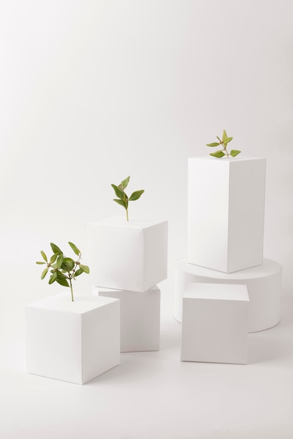 Concepto de sostenibilidad con plantas que crecen a partir de formas geométricas en blanco.