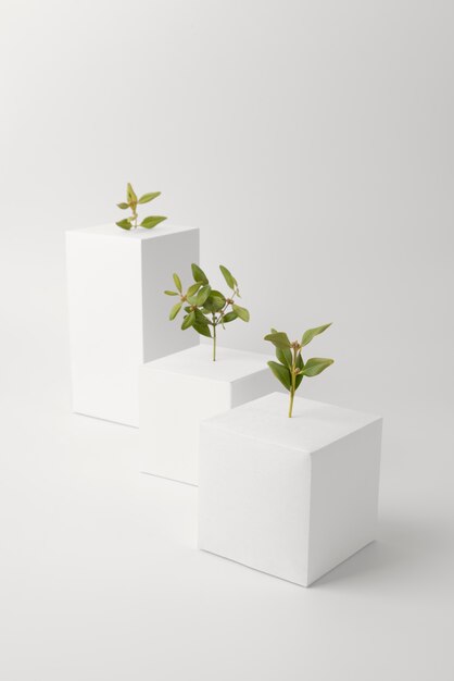 Concepto de sostenibilidad con plantas que crecen a partir de formas geométricas en blanco.