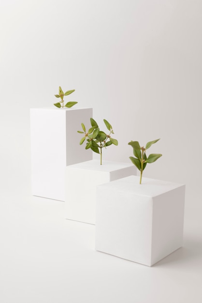 Foto gratuita concepto de sostenibilidad con plantas que crecen a partir de formas geométricas en blanco.