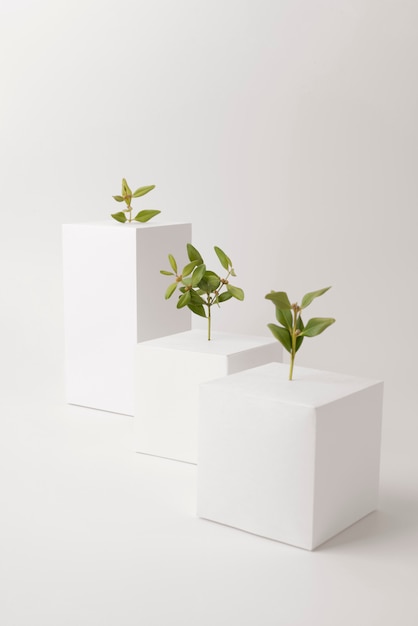 Concepto de sostenibilidad con plantas que crecen a partir de formas geométricas en blanco.