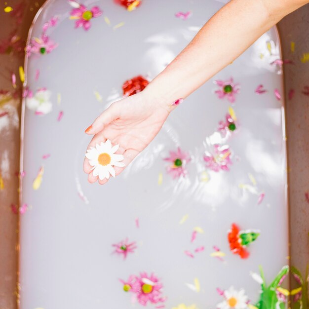 Concepto de spa con flores  en bañera