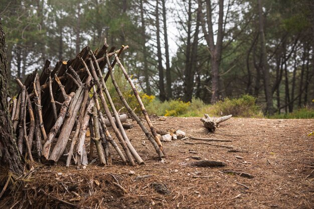 Concepto de vida de campista con refugio de ramas