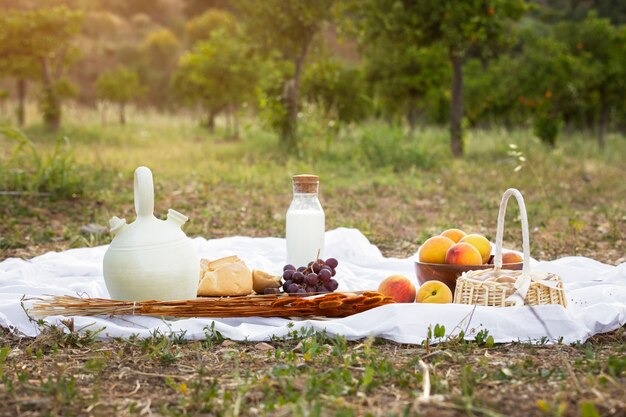 Concepto de vida rural con picnic al aire libre.