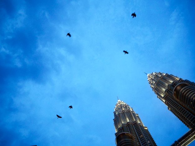 Foto gratuita concepto de vista del cielo de la torre gemela de crow