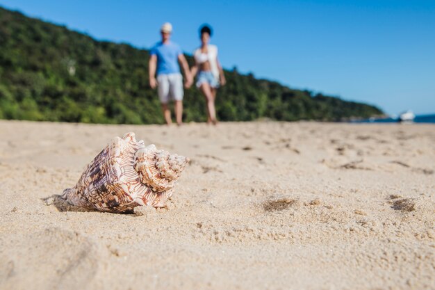 Concha y pareja en la playa