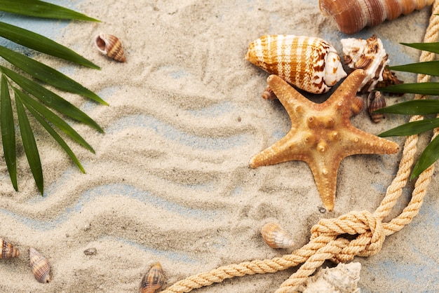 Conchas y estrellas de mar en la arena