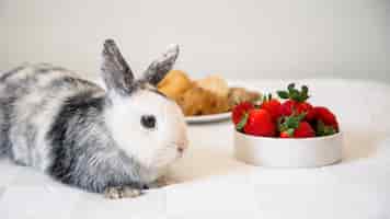 Foto gratuita conejo acostado en la mesa cerca de fresas frescas