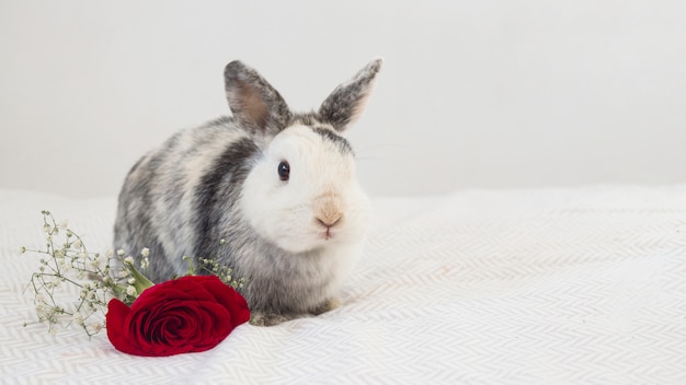 Foto gratuita conejo gracioso junto a la flor fresca