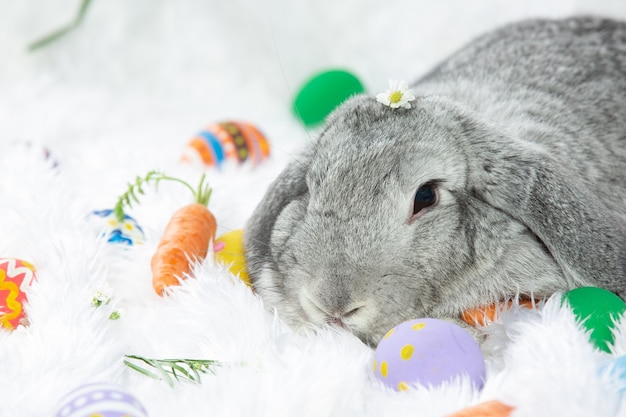 Conejo y huevos de pascua en verde.