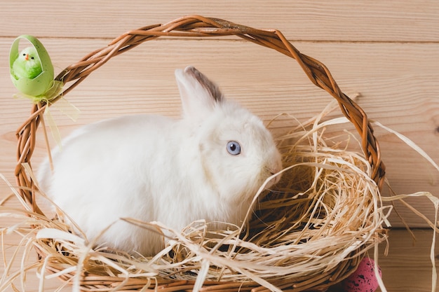 Conejo de Pascua en cesta