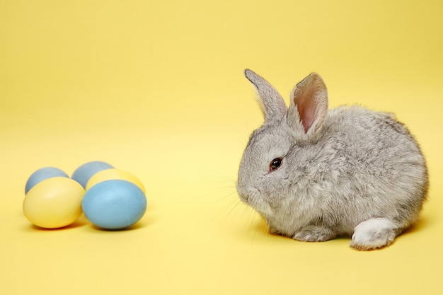 Conejo de Pascua con huevos pintados sobre fondo amarillo. Concepto de vacaciones de semana Santa.