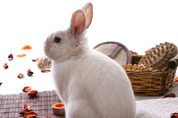 Foto gratuita conejo con productos de spa en blanco