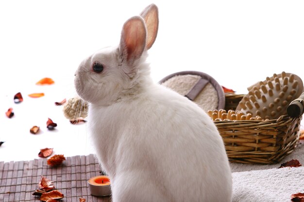 Conejo con productos de spa en blanco