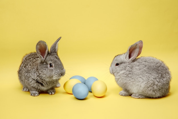 Conejos de Pascua con huevos pintados sobre fondo amarillo. Concepto de Pascua, animales, primavera, celebración y vacaciones.