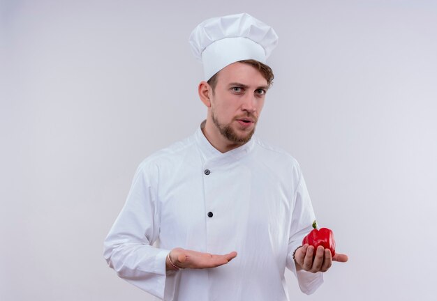 Un confundido joven chef barbudo vestido con uniforme de cocina blanco y sombrero sosteniendo pimiento rojo mientras mira en una pared blanca