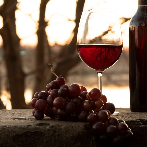 Conjunto de botella y copa de vino en la naturaleza.