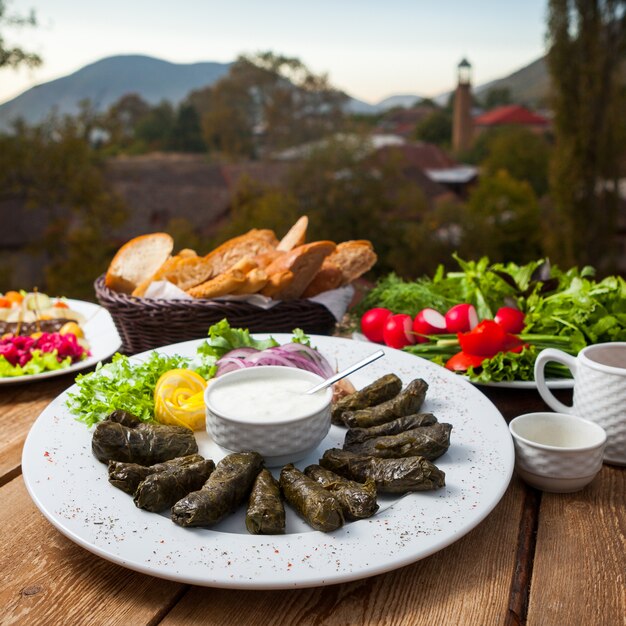 Conjunto de diferentes tipos de ensaladas y hojas de parra rellenas en una mesa con el pueblo en el fondo. Vista de ángulo alto.