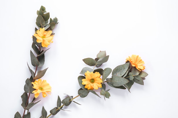 Conjunto de flores frescas con hojas verdes en ramitas