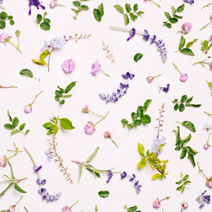 Foto gratuito conjunto de flores moradas y hojas verdes.