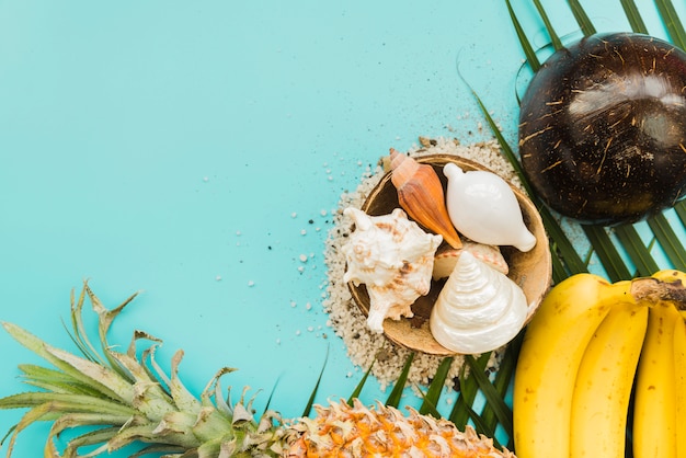 Foto gratuita conjunto de frutas tropicales y conchas marinas.