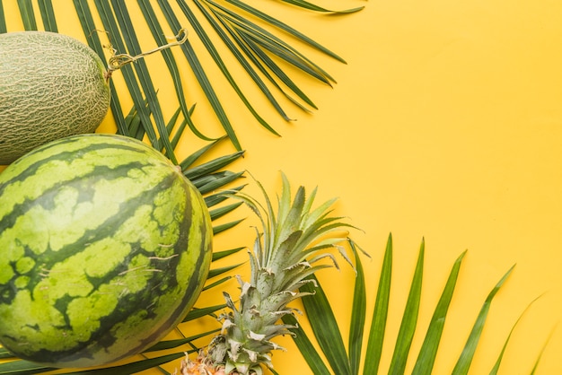 Foto gratuita conjunto de frutas tropicales maduras en hojas de palma