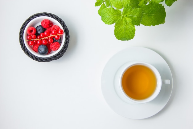 Conjunto de grosella roja, té de manzanilla, hojas de menta y arándanos y frambuesas en un tazón.