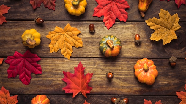 Conjunto hermoso de hojas, bellotas y calabazas de otoño