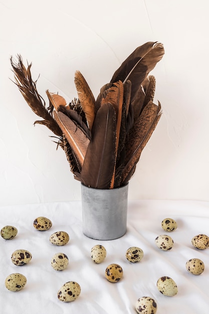 Foto gratuita conjunto de huevos de codorniz de pascua cerca de plumas negras en lata en textil