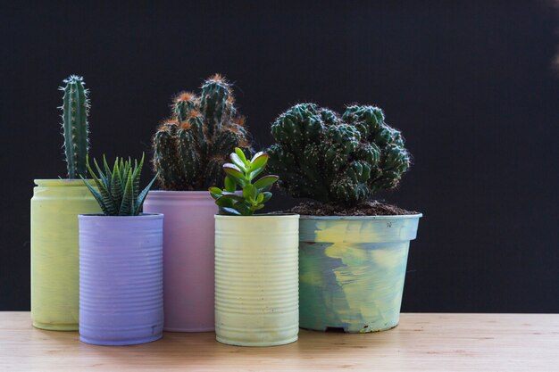 Conjunto de plantas en crecimiento en el contenedor pintado de reciclaje en el escritorio de madera