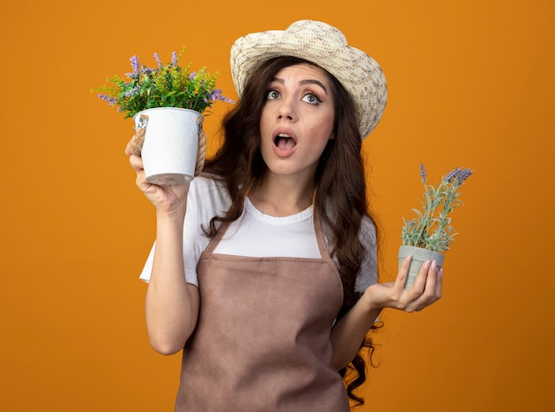 Conmocionado joven jardinero en uniforme vistiendo sombrero de jardinería tiene macetas mirando hacia arriba aislado en la pared naranja con espacio de copia